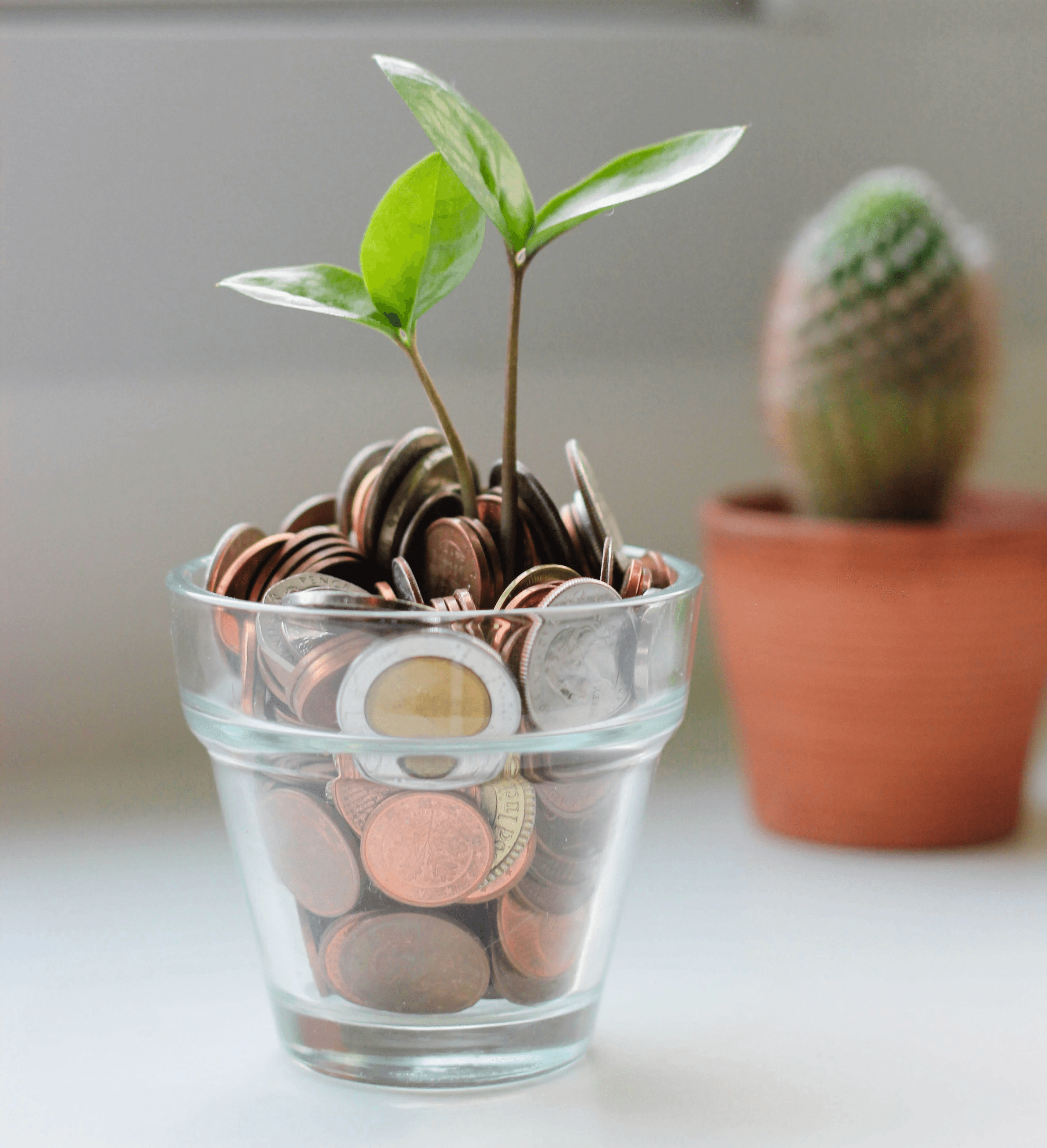 Coins in a jar illustrating money saved when creating a personal trainer website with Webfolio