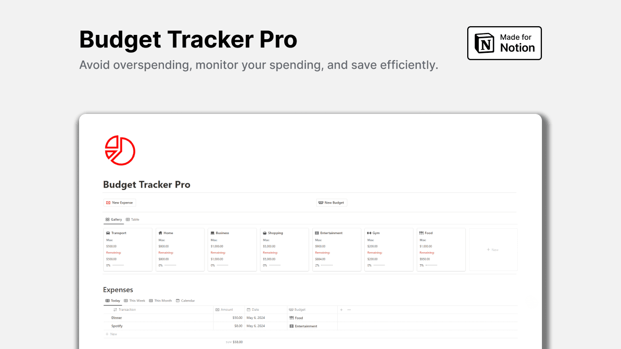 Notion Budget Tracker Pro 