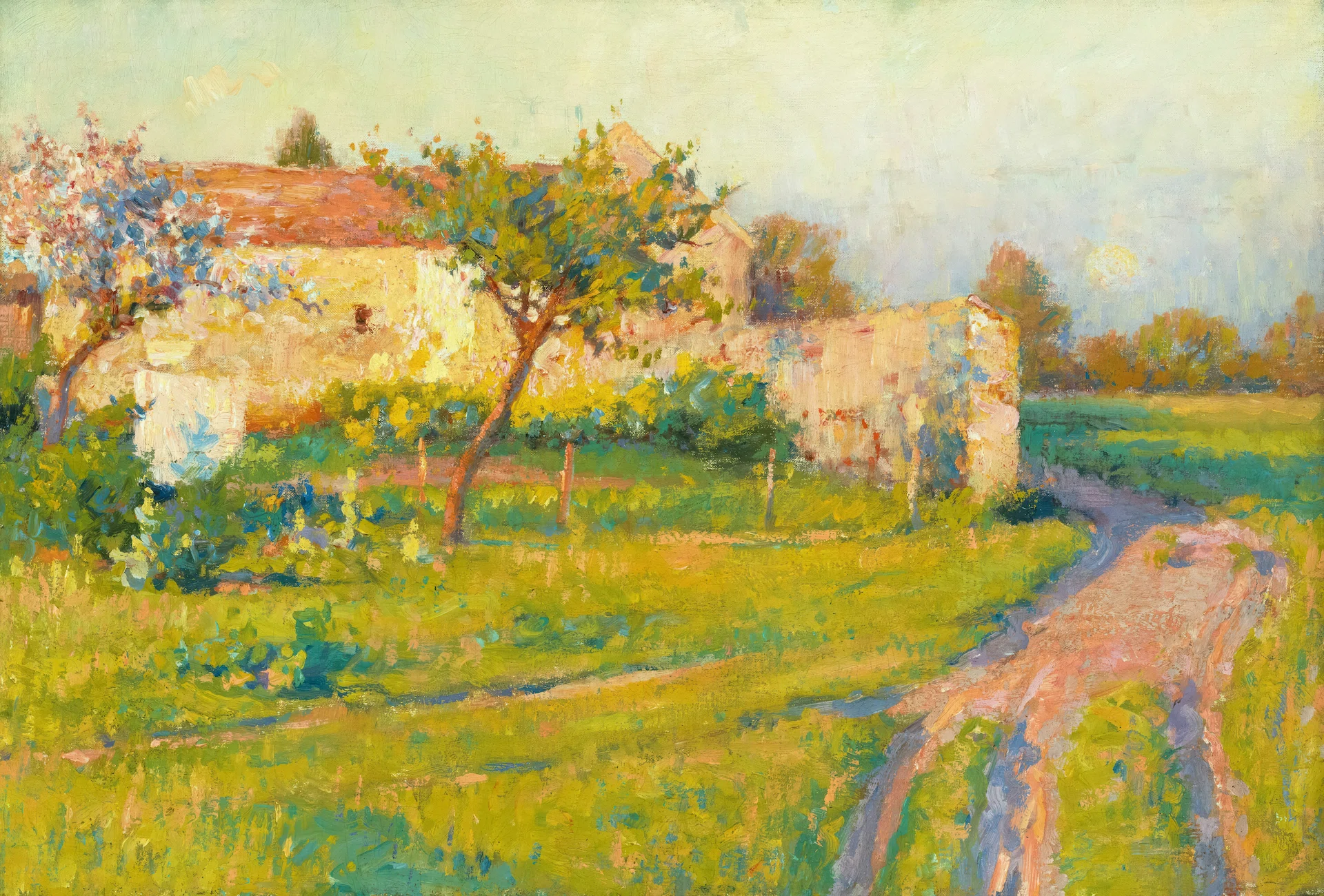 Farm Wall and Road in Sunlight