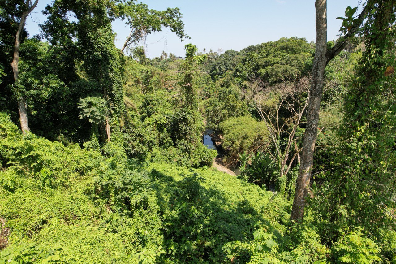 3700 m² Freehold land plot with canyon in Tabanan, Kaba Kaba