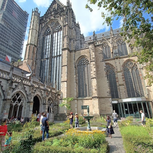 Den Dolda Trädgården