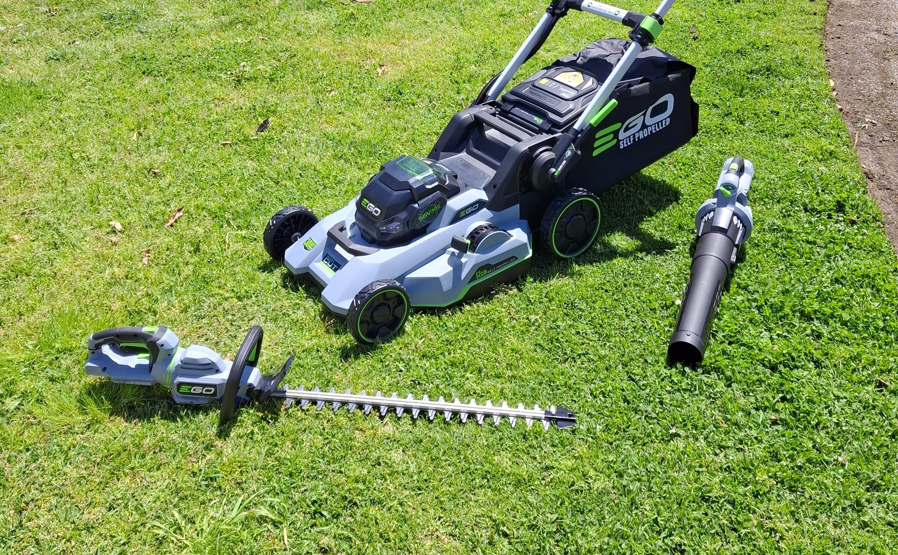 Large Project Gallery Image #1