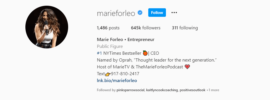 Marie Forleo Instagram bio