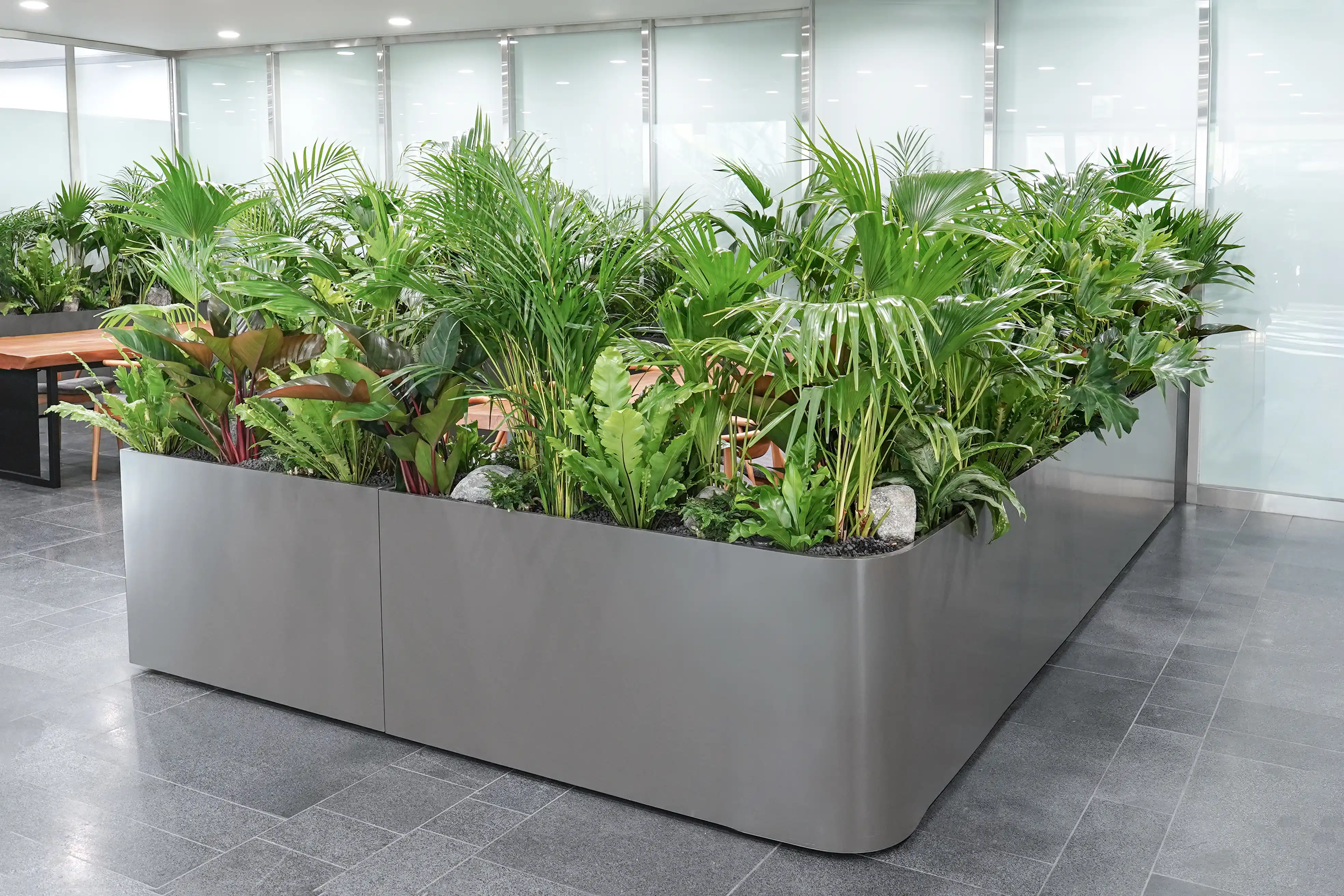 서울시청에 설치된 로비 실내조경