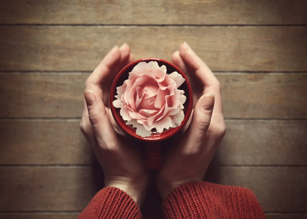 hand holding flower large