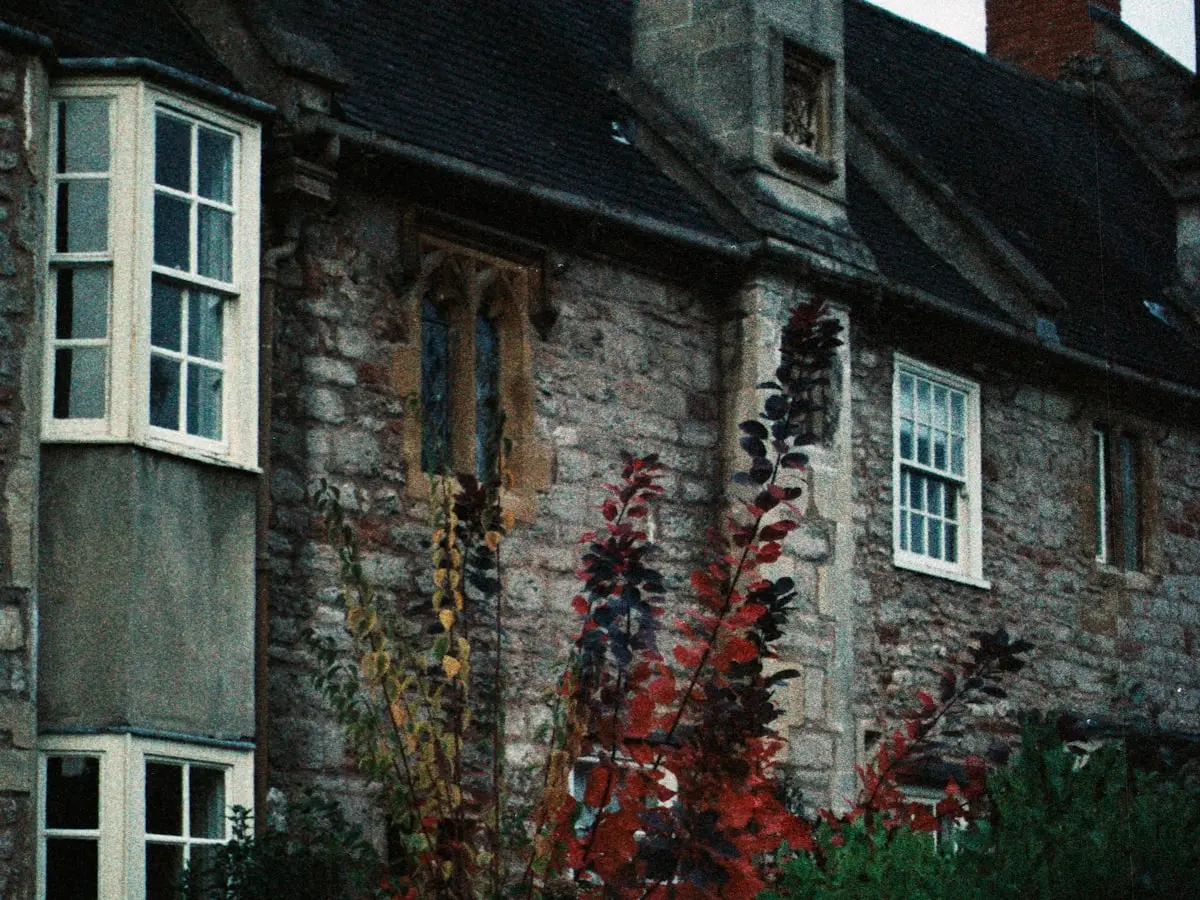 Journal photograph