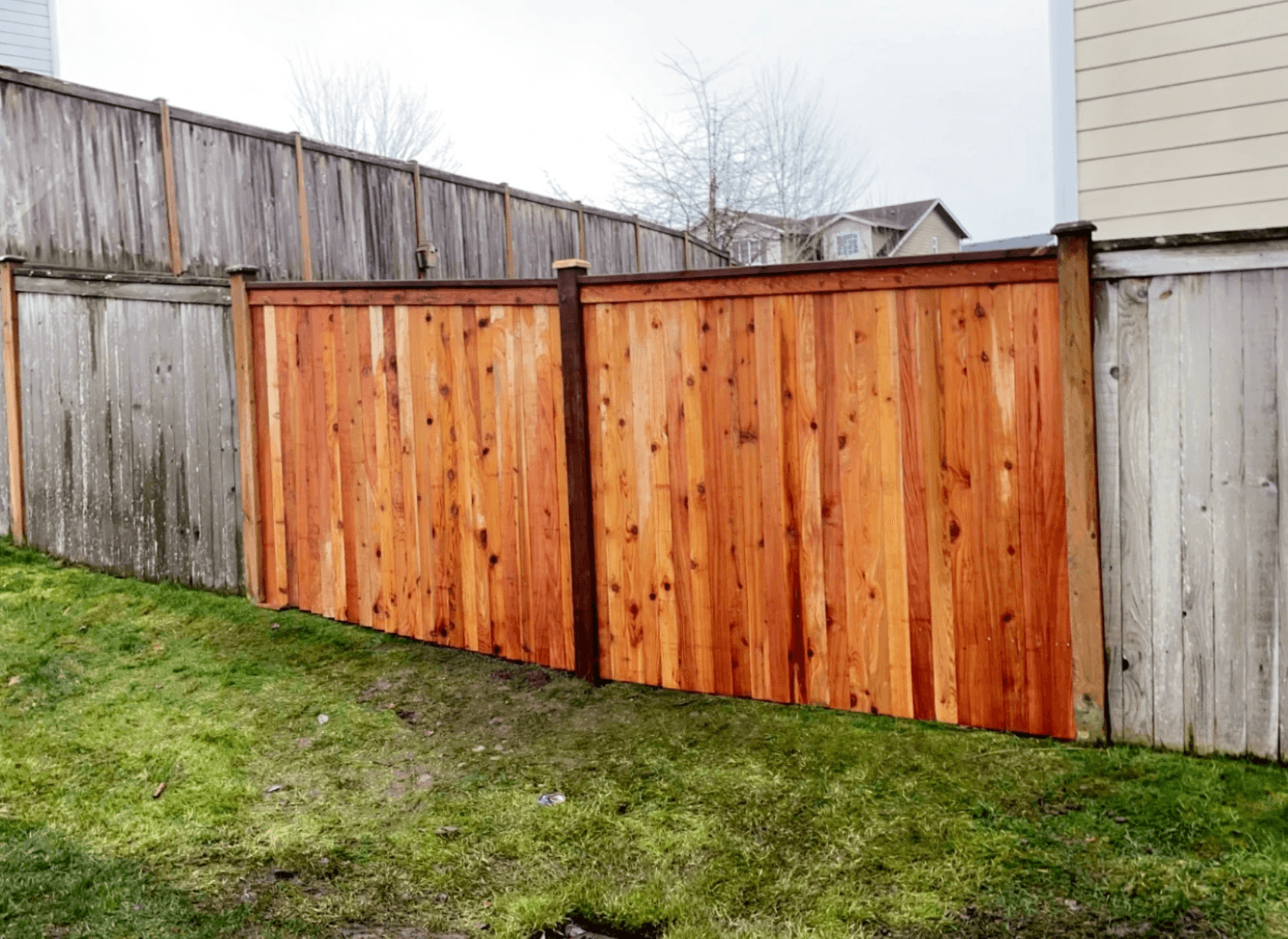 Gallery: See Our Renovation Projects in Action