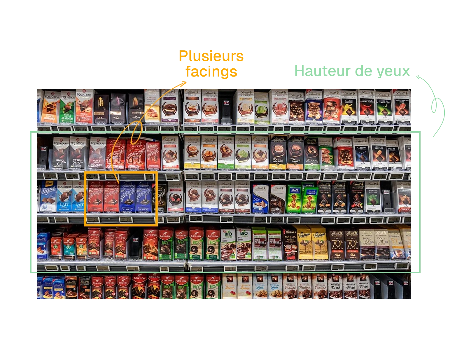 hauteurs de yeux et facings linéaire gms