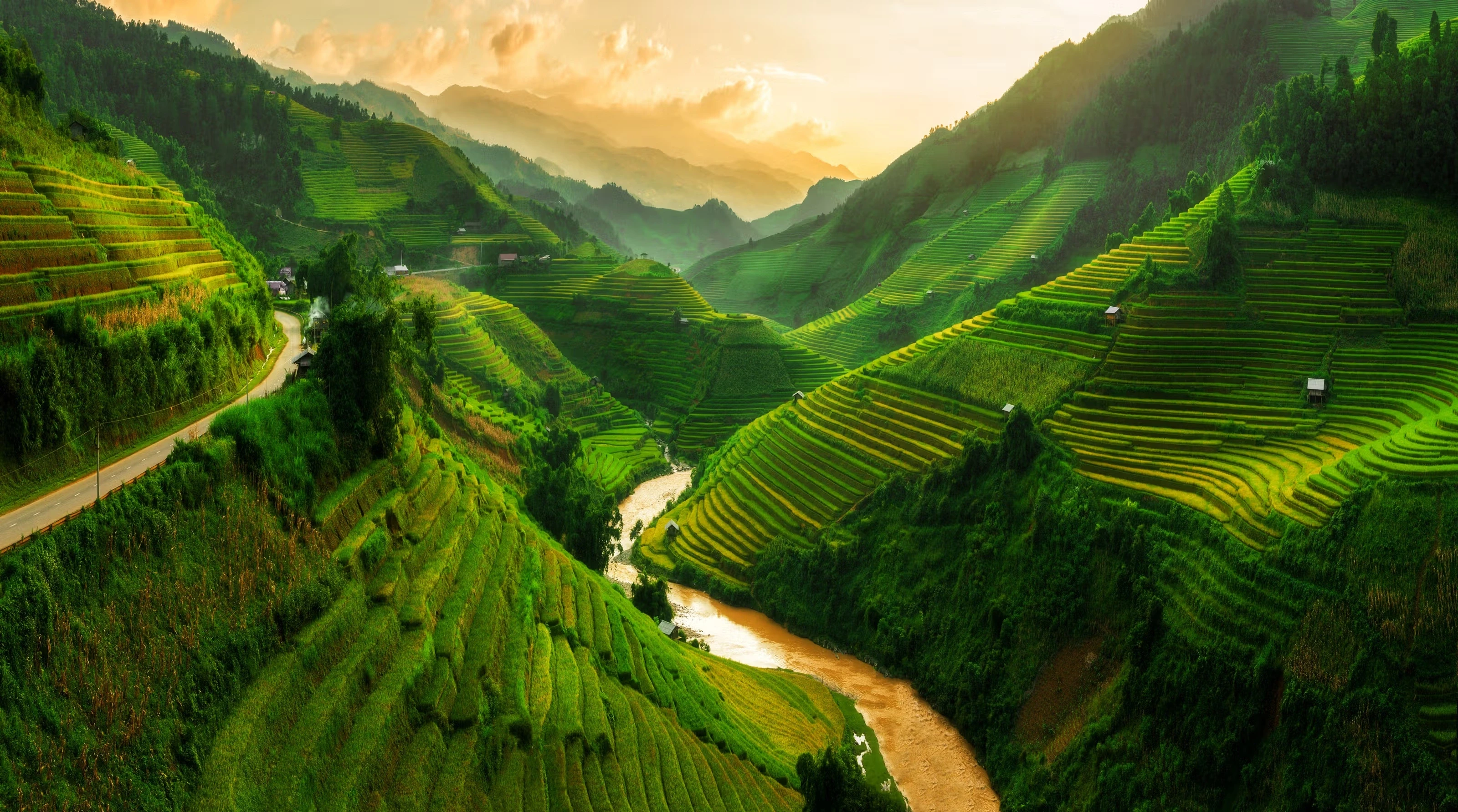 Terraced rice fields valley