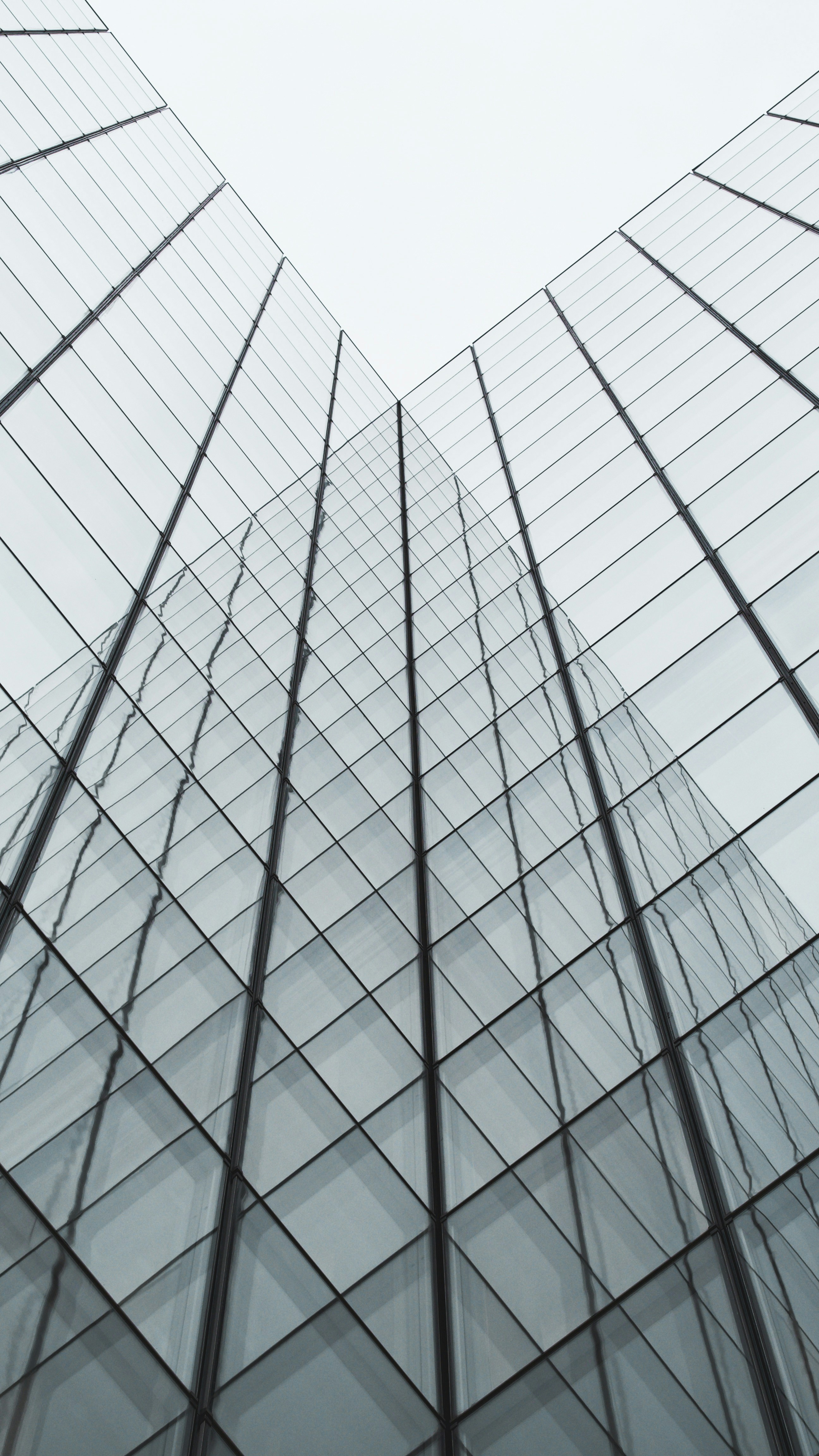 white and black glass building