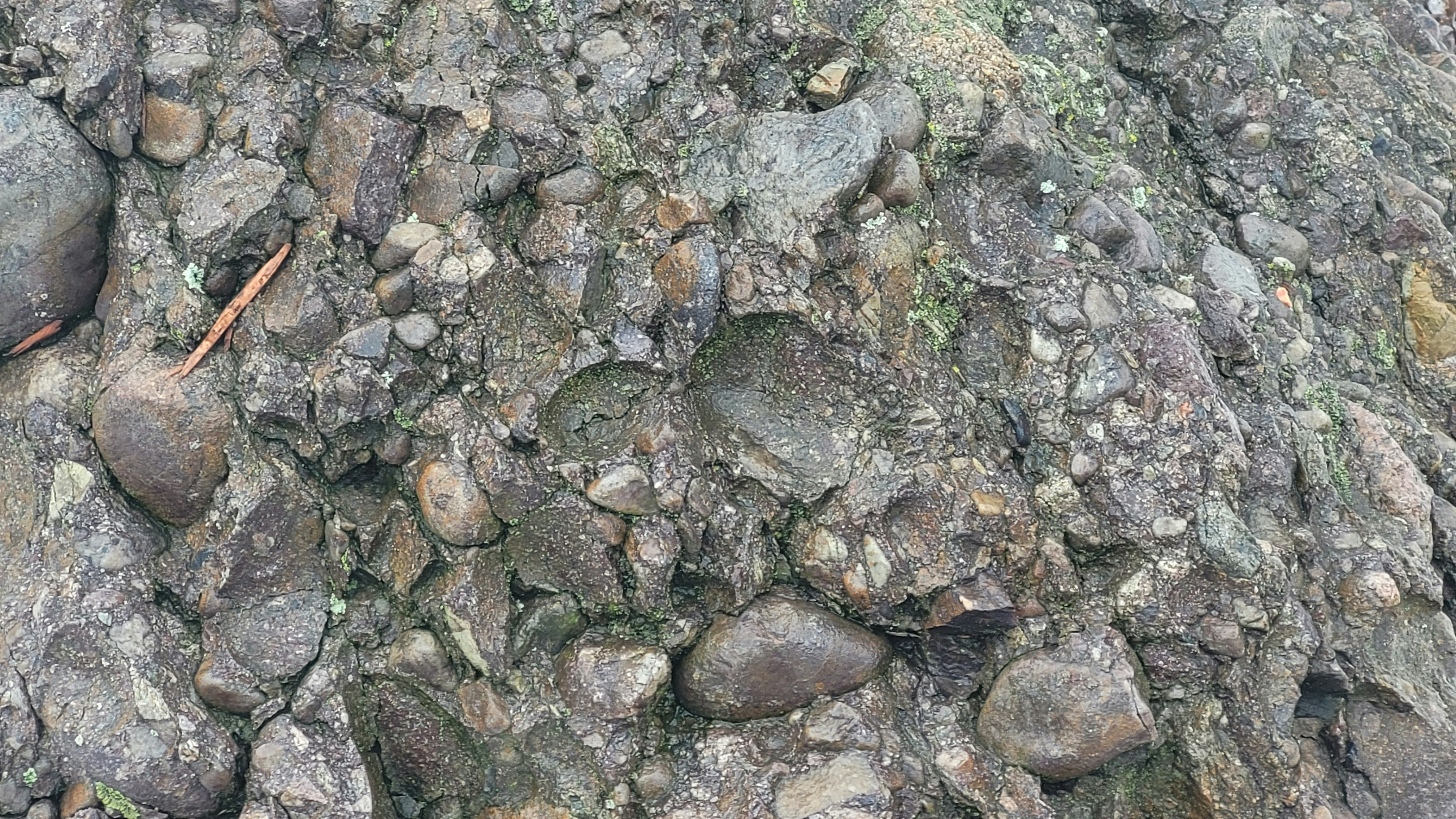 a close up of rocks and grass on the ground