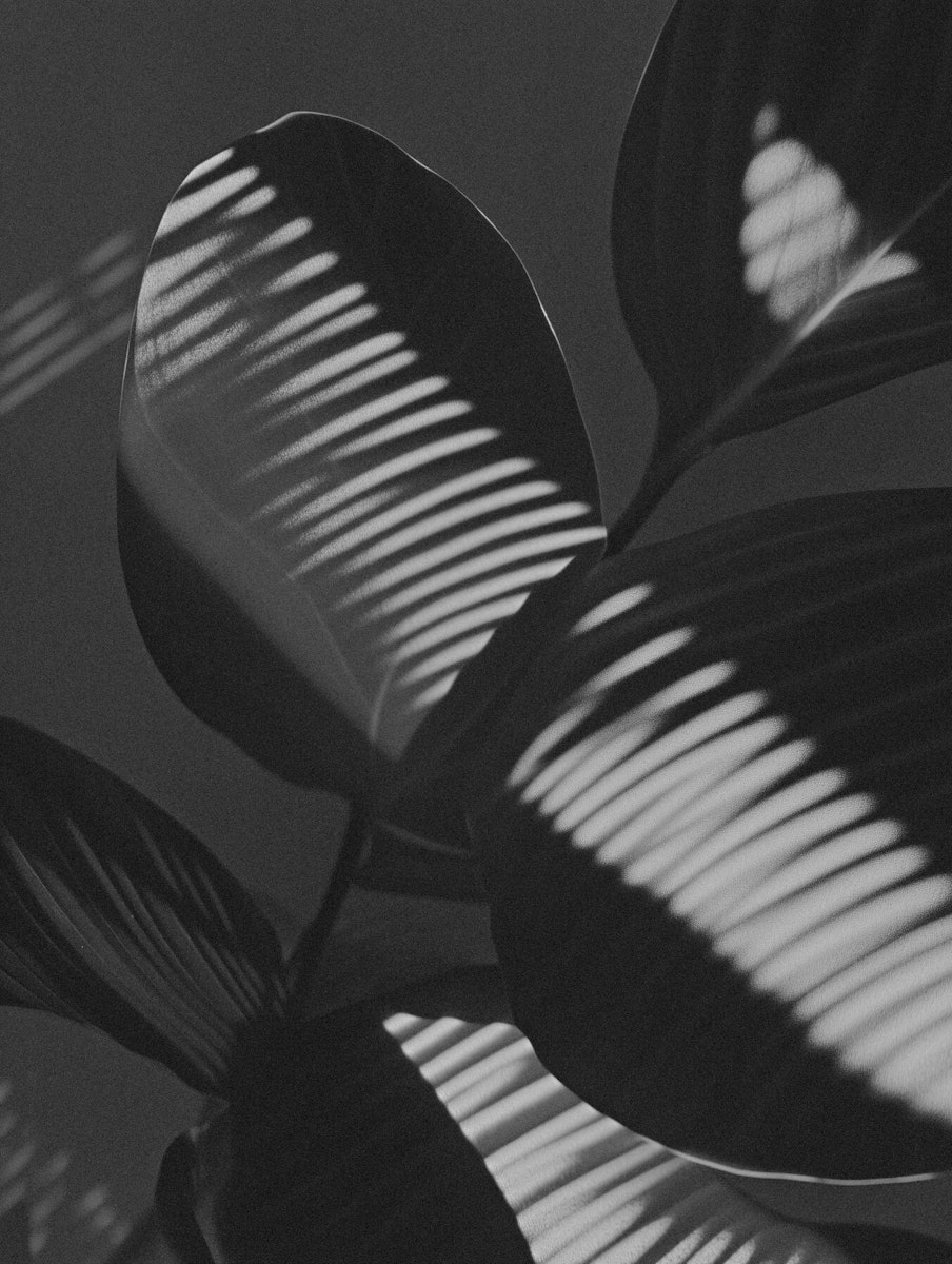 Article second image