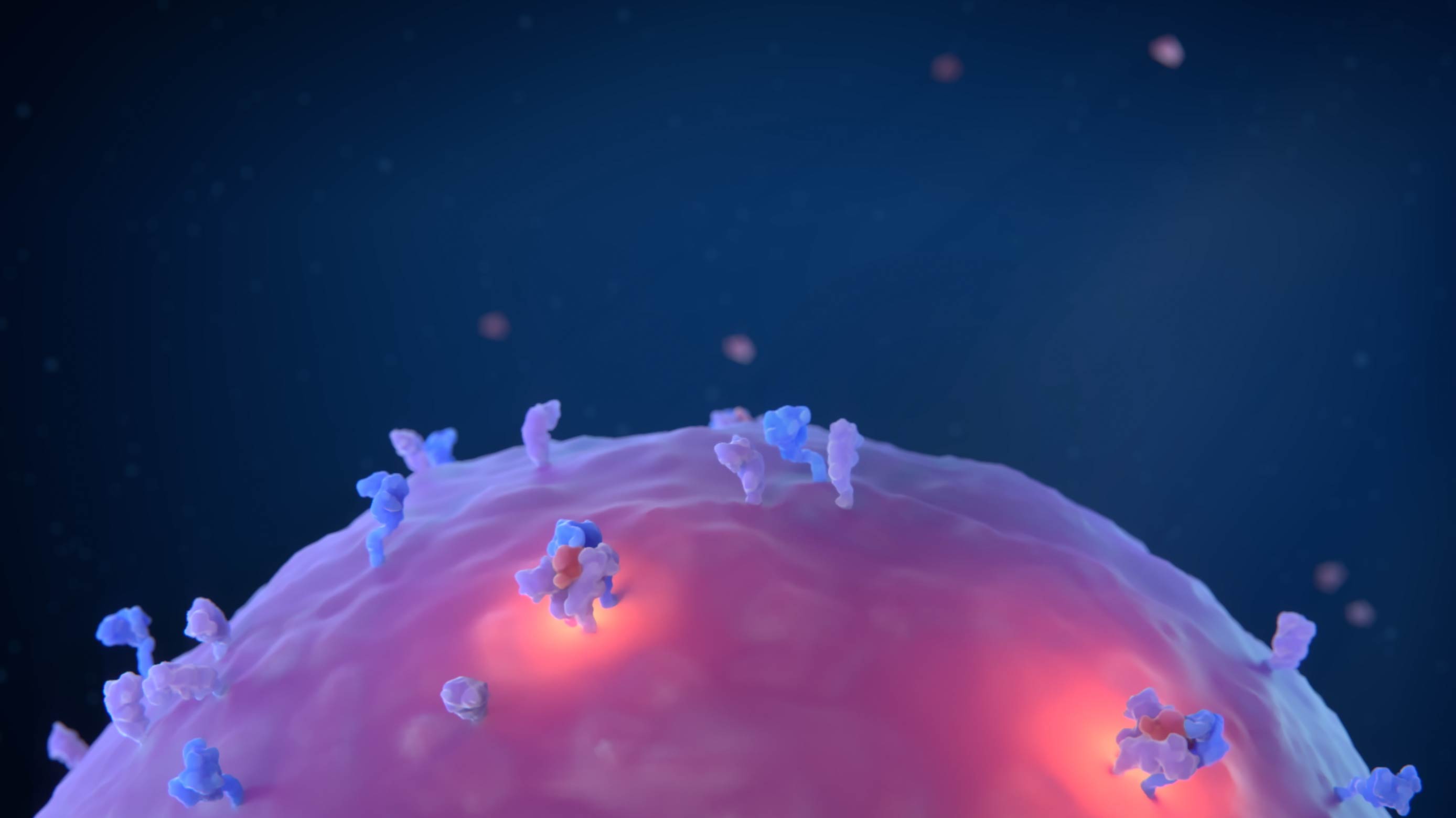 Immune cell surface with IL-2 receptor subunits