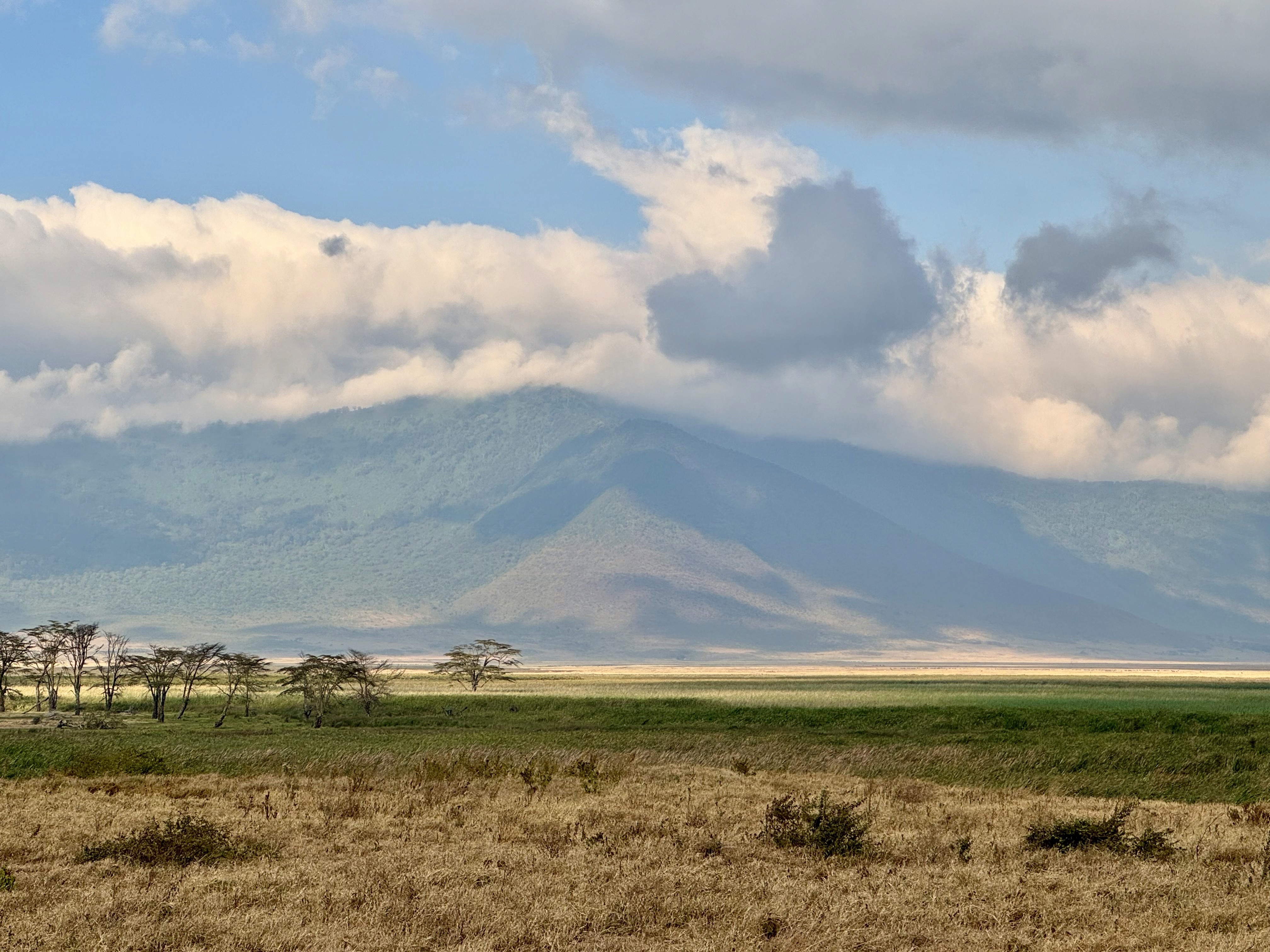 The Ngorongoro landscape with steep walls of the crater