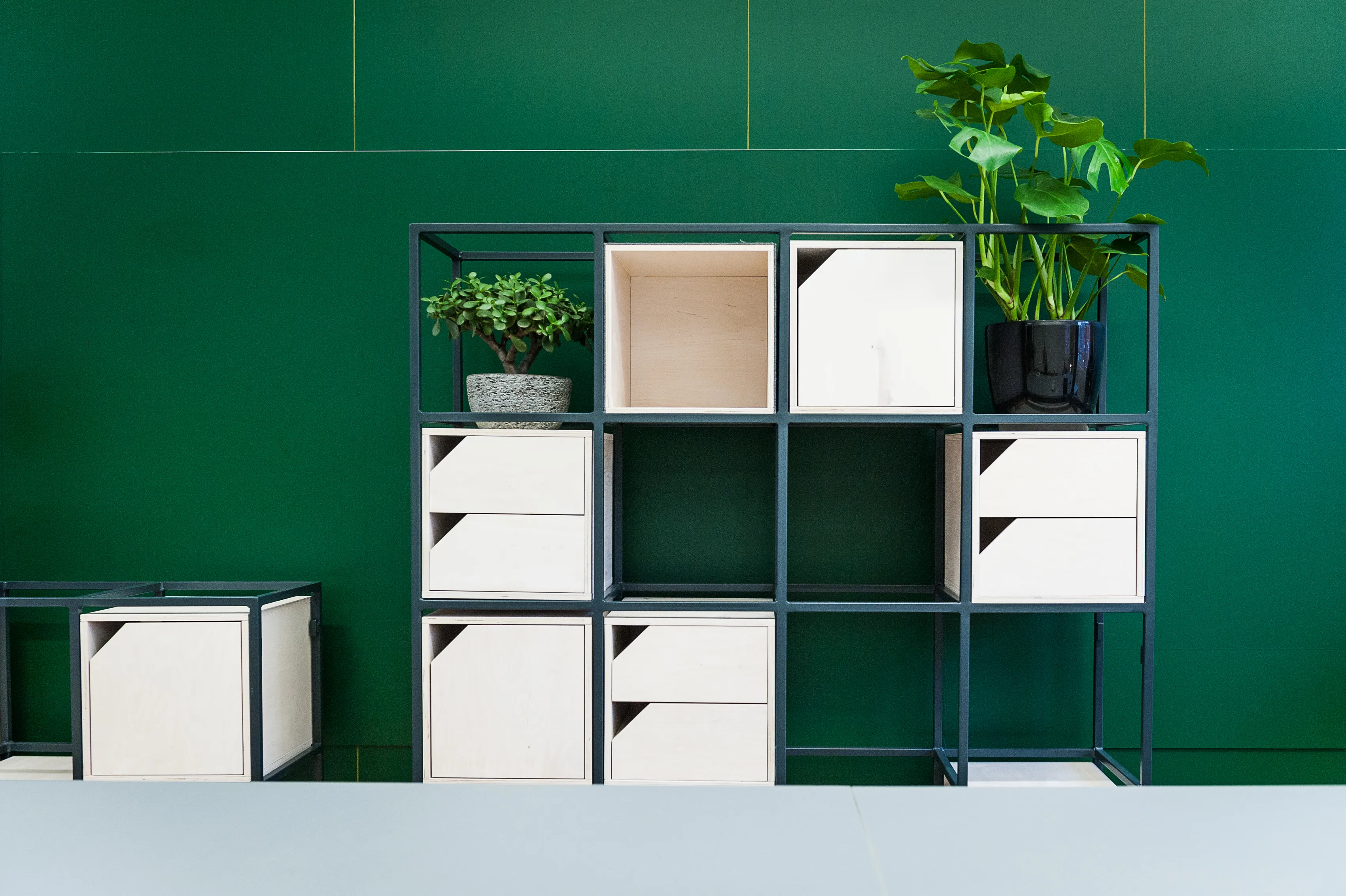 Modular black steel shelf with white wooden boxes and potted plants in front of a glossy dark green wall at INTERMATE x TRUEMATES, including a large monstera in a black pot.
