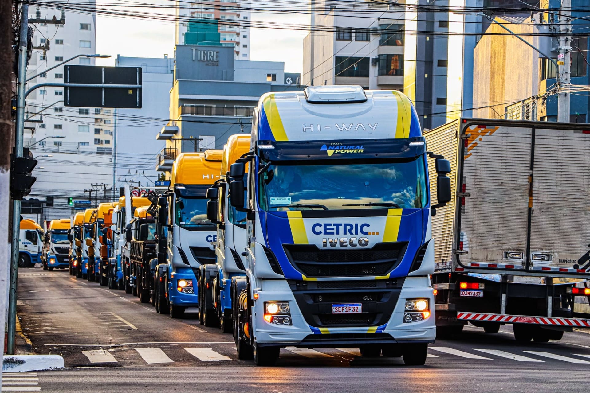 A team of pest controll experts carrying fog machine in an office