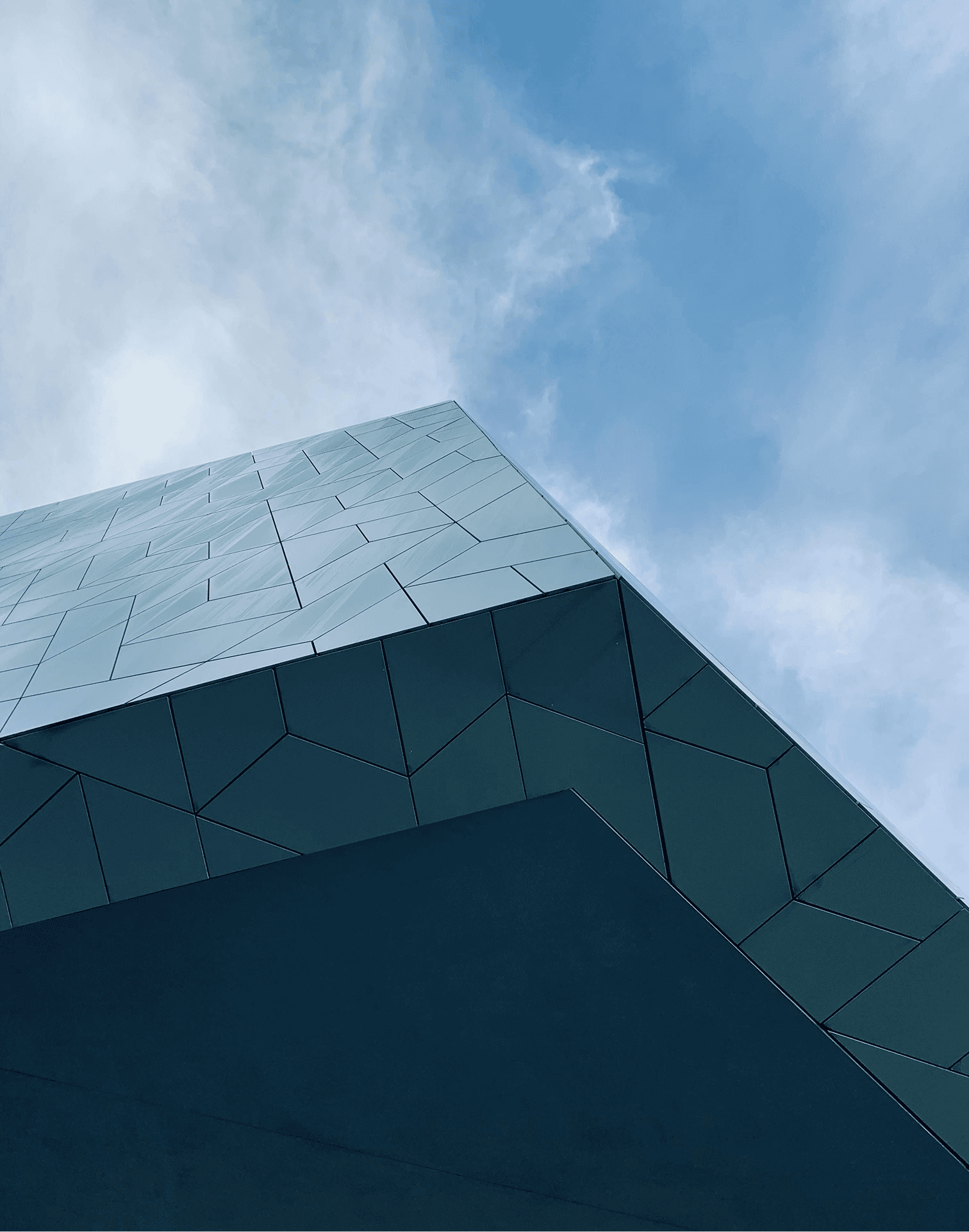 person sitting on grass and using phone