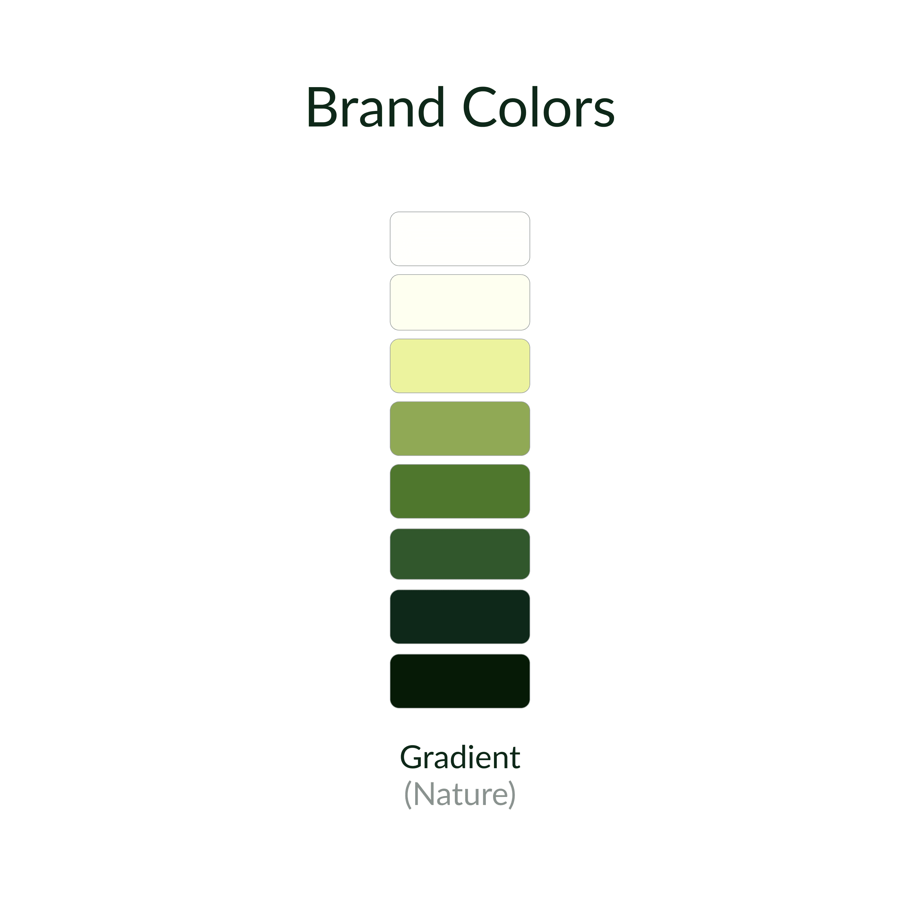 Style Guide Brand Colors