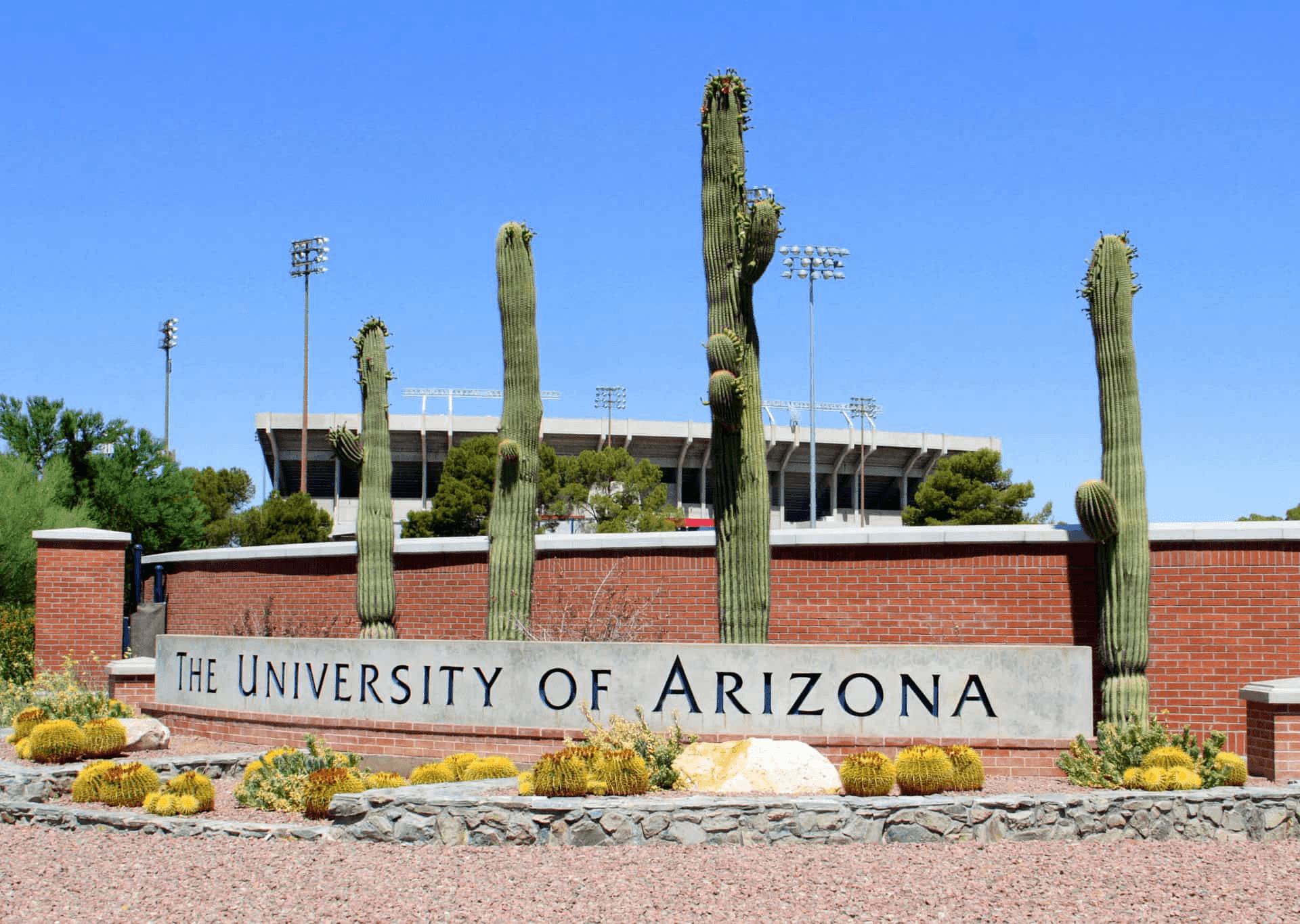 The University of Arizona