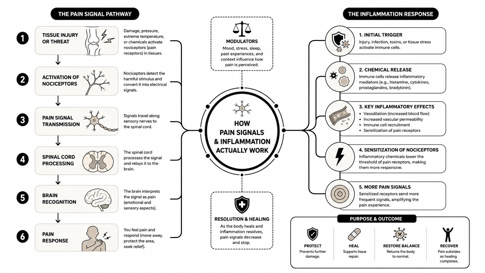 A detailed flow chart illustrating the physiological stages of the pain signal pathway and the body's inflammation response.