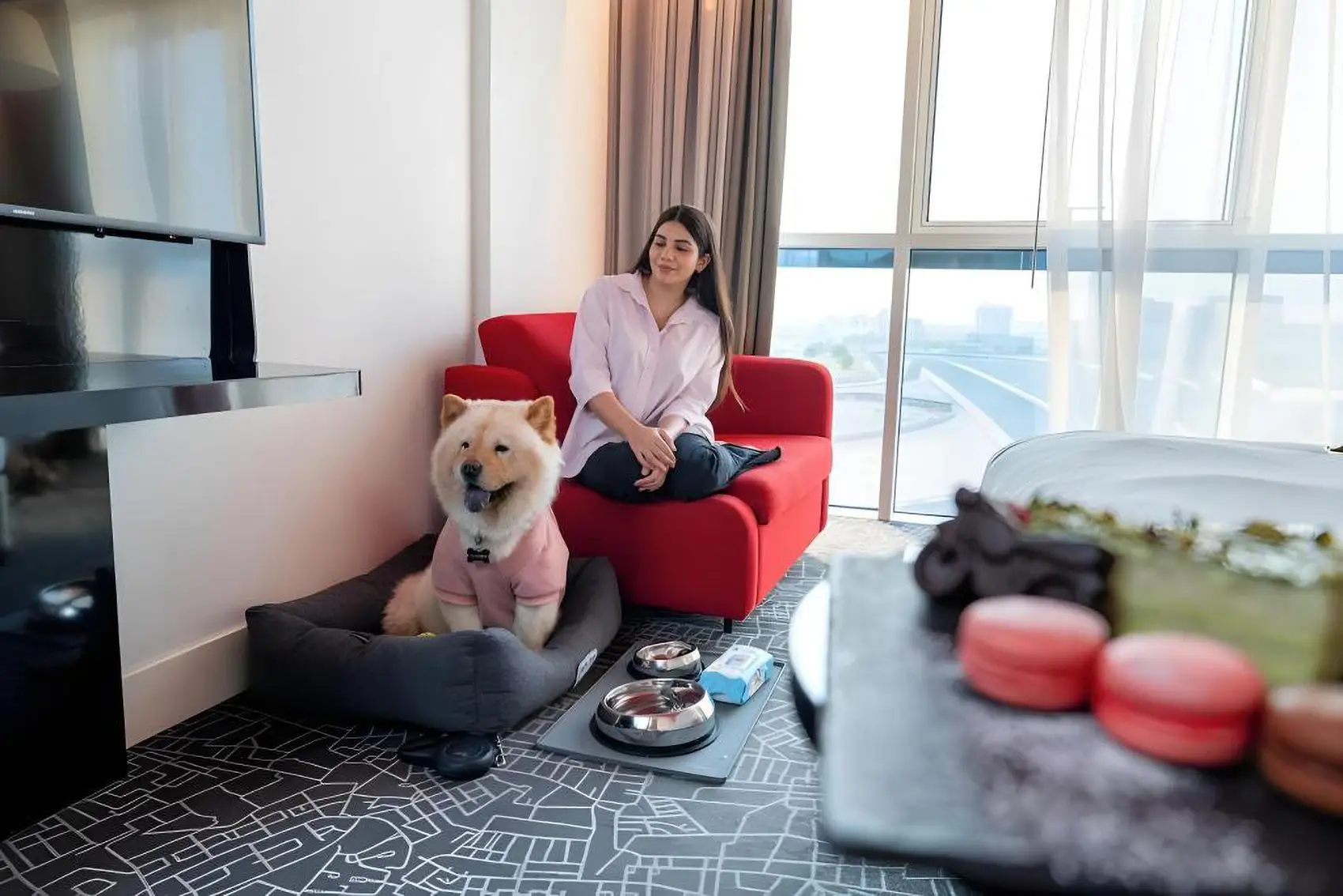 The outdoor pool at Park Inn by Radisson Dubai Motor City, a pet-friendly hotel with a motor-themed design