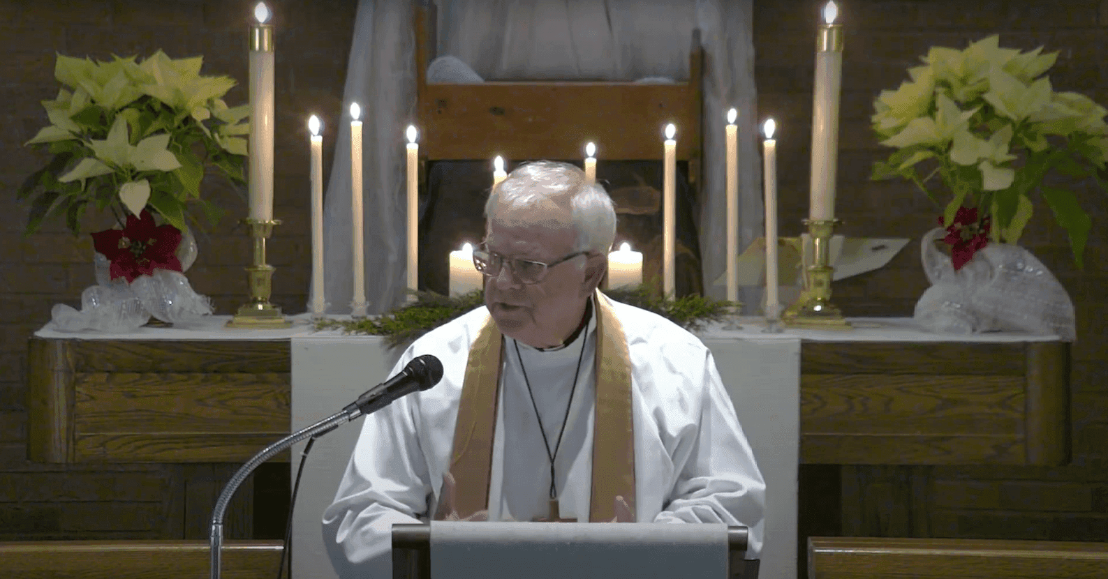 Aerial view of Notre Dame district