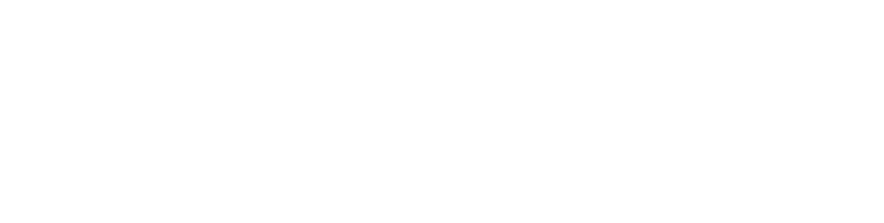 Payoneer logo