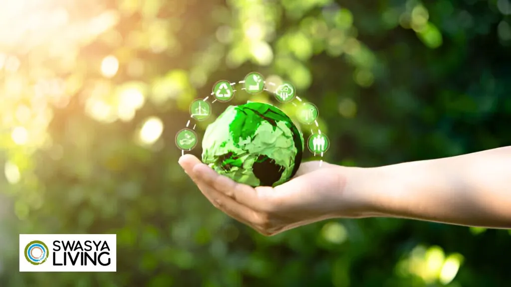 Eco-Friendly Practices