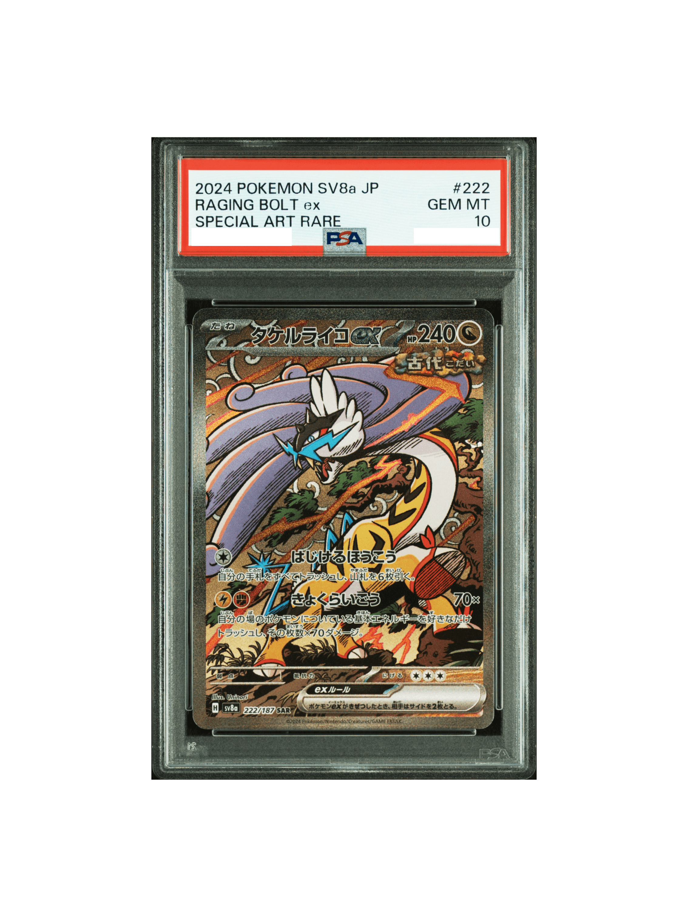 PSA10 タケルライコex SAR [SV8a 222/187]( - PSA10