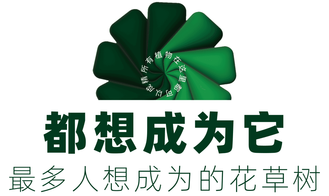 巨型思维导图设计