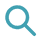 Search Icon