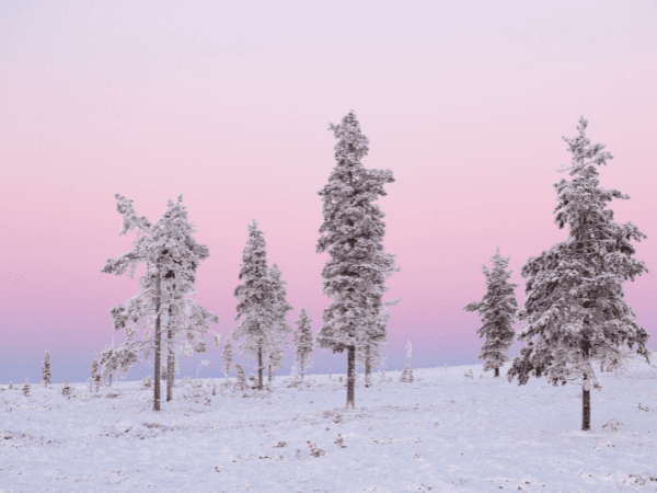 Lapland Material Bank | Terhi Tuovinen