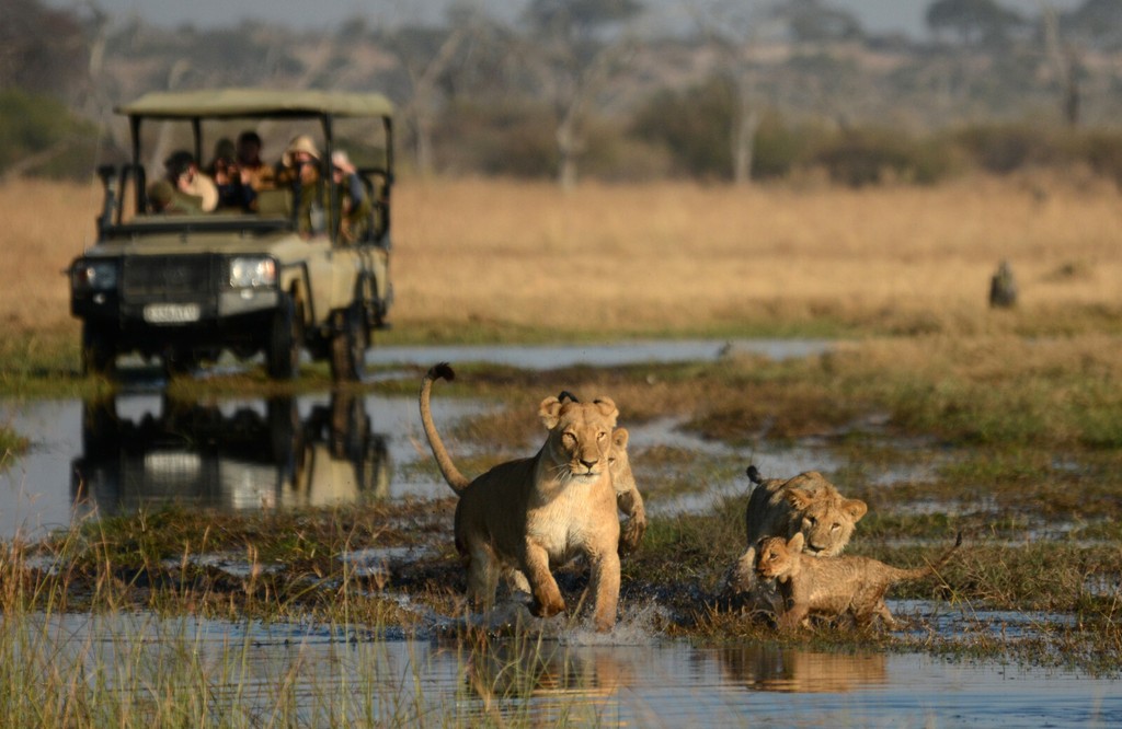 Game Drive