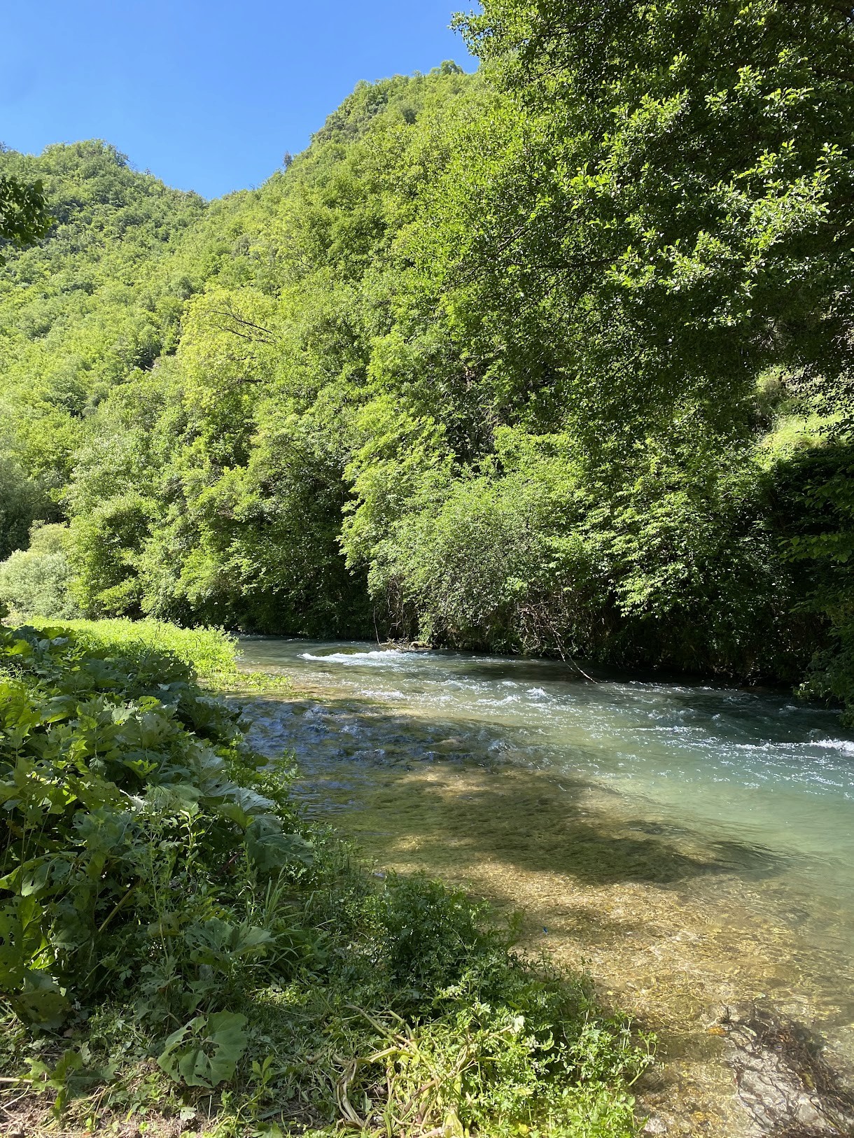 Book your fly fishing adventure on the Nera River in Umbria. Enjoy trout fishing in the heart of Italy, paired with excellent food and wine. Learn advanced techniques from expert guides. Ideal for a delightful Italian excursion.