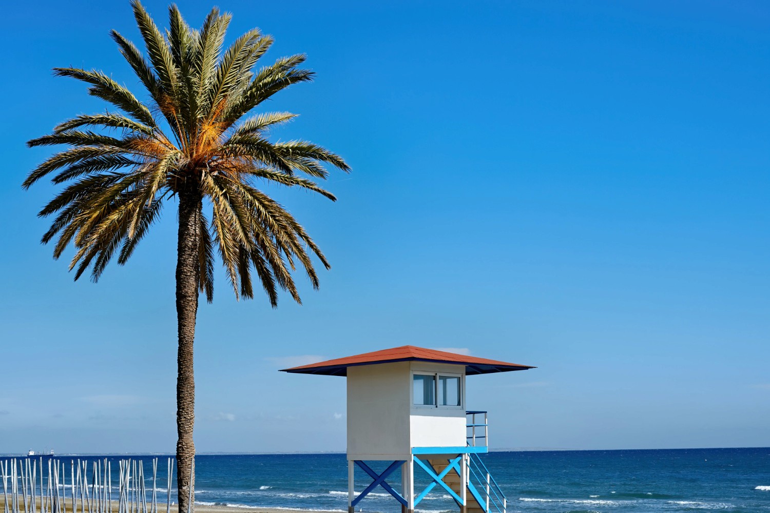 Circular image of a serene beach scene features a tall palm tree and a small lifeguard tower with a red roof against a clear blue sky and ocean.