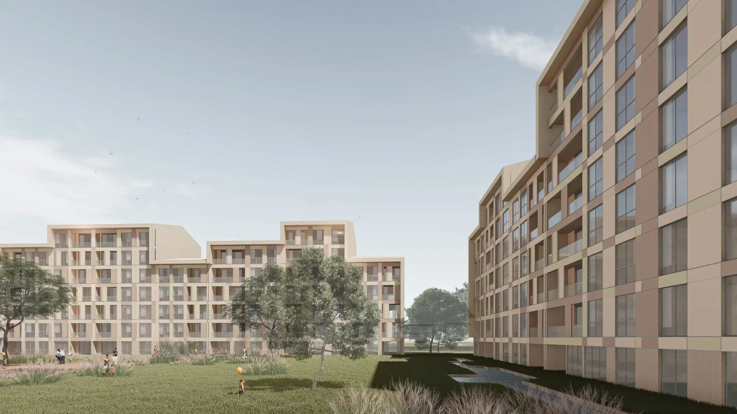 View from the garden towards the blocks