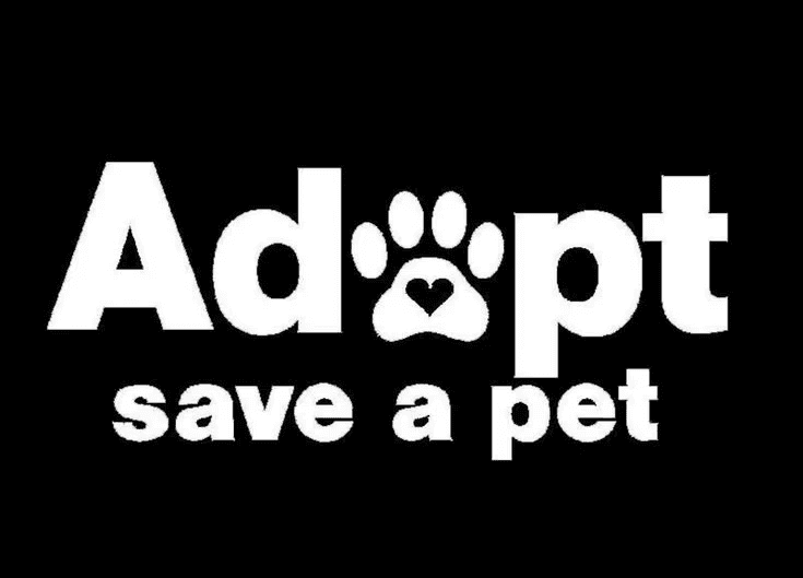 Featured Project Cover Image