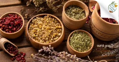 Coozmoo client and BillyGo business owner Sam Bohon