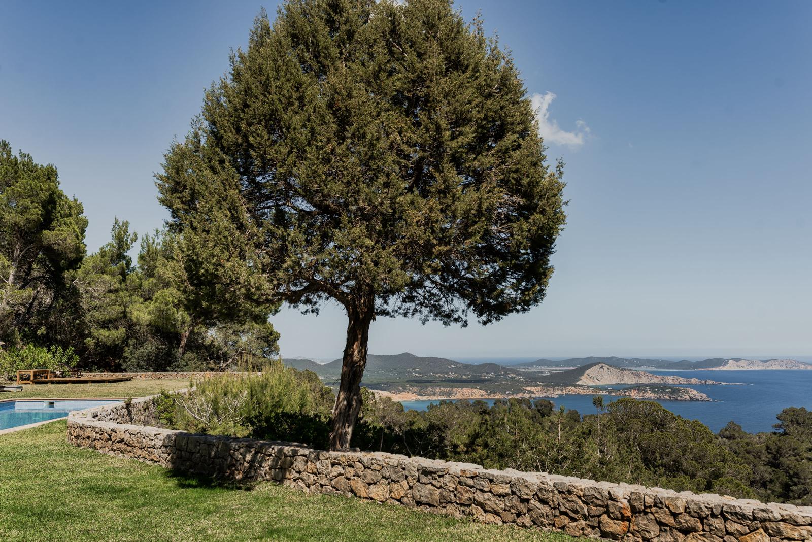 Performance, red lights