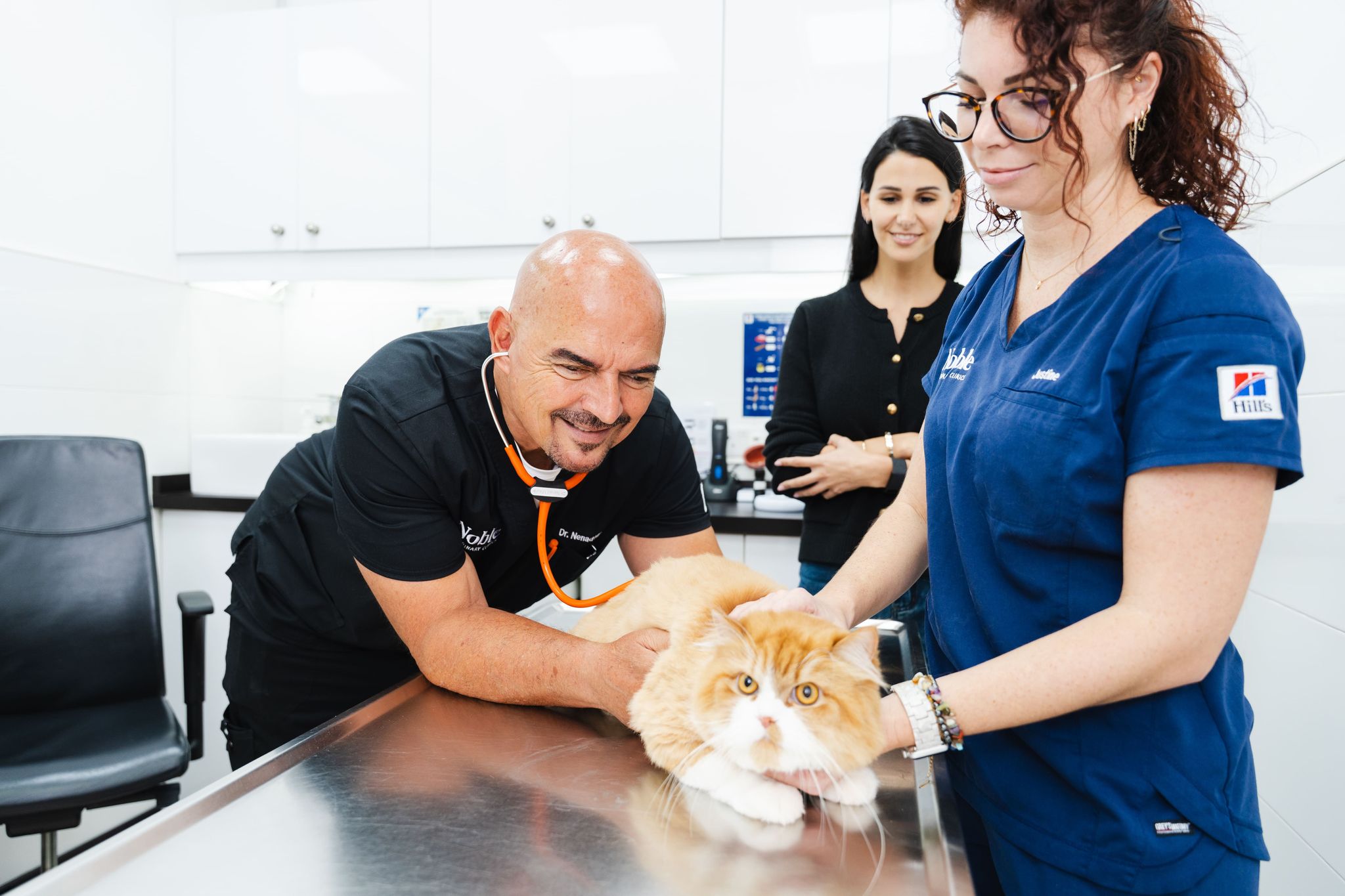 A veterinarian is listening to the heart rate of an orange cat. Another vet is assisting. The pet owner is nearby.
