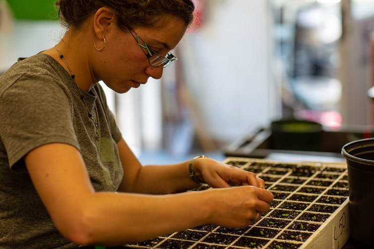  /><figcaption><span class=