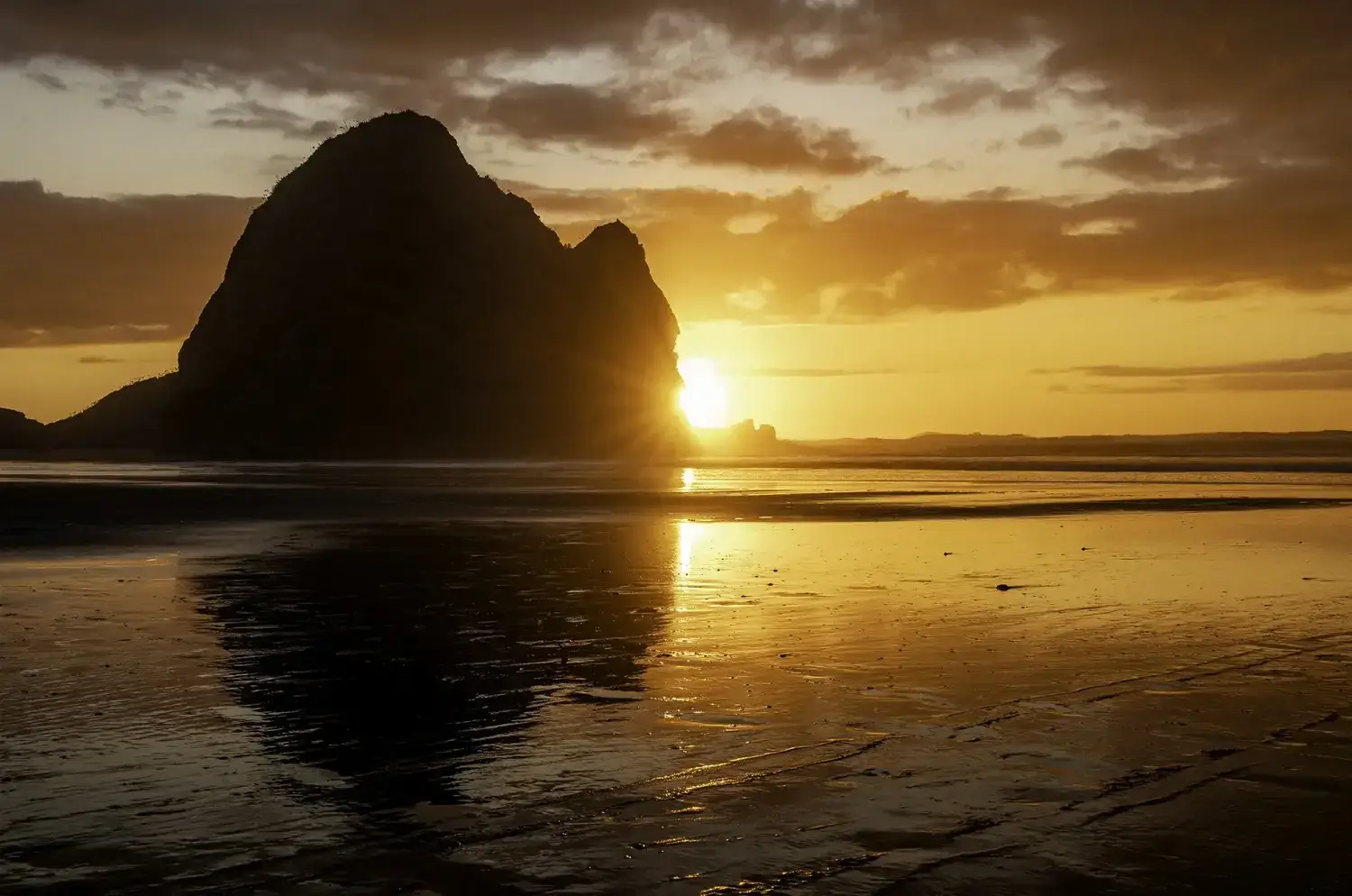 Woman in Teal Setting