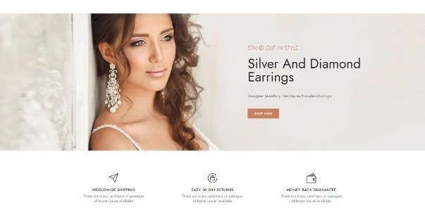 jewelery dropshipping business for sale