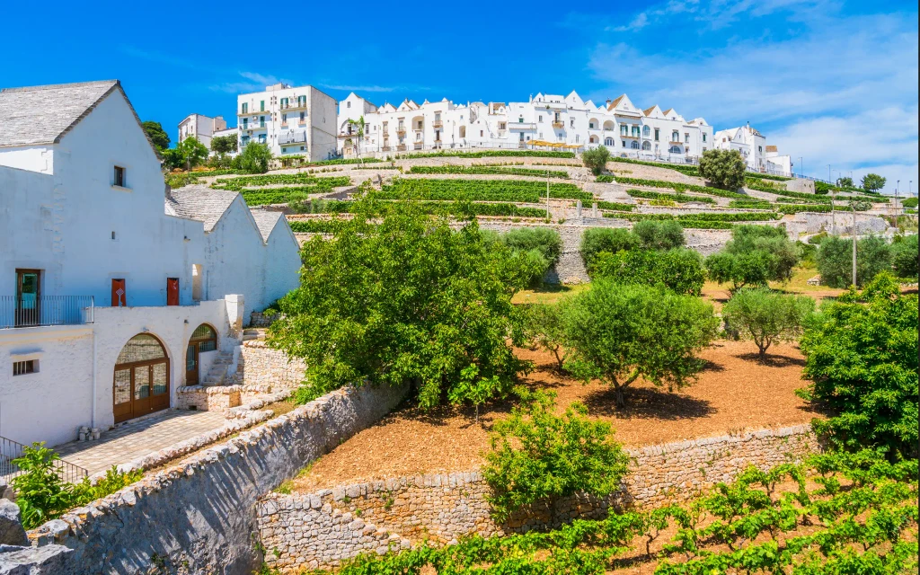 Locorotondo i Puglia | Expa Travel