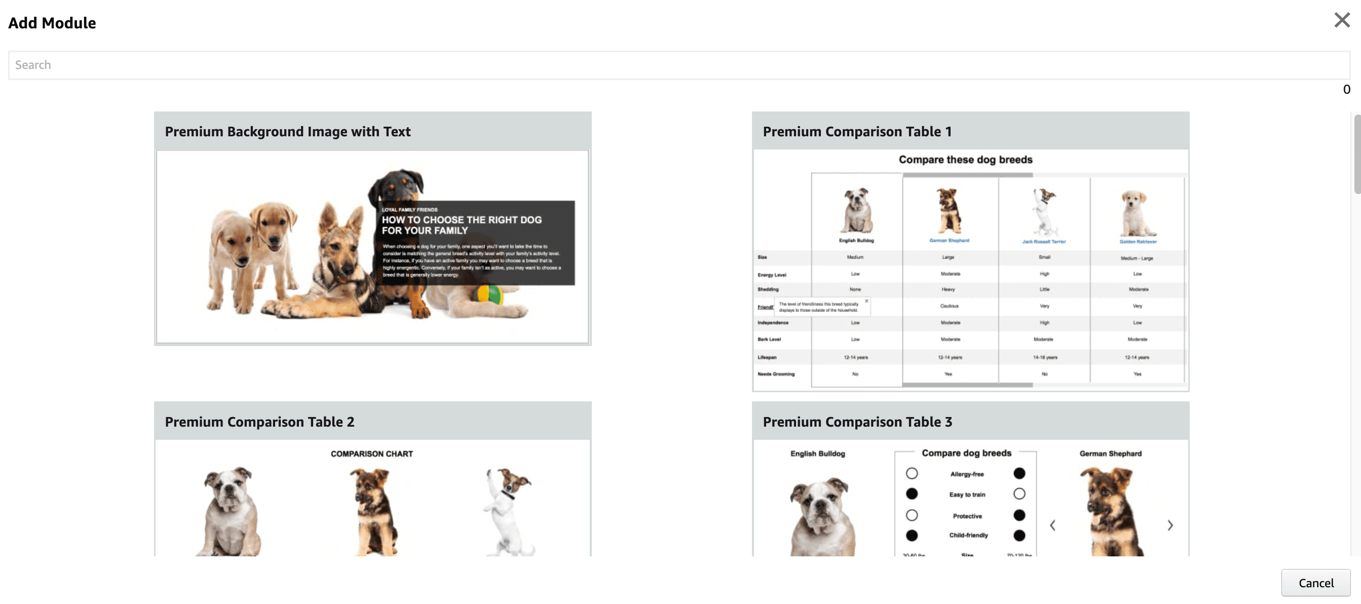 Premium A Plus Content for amazon