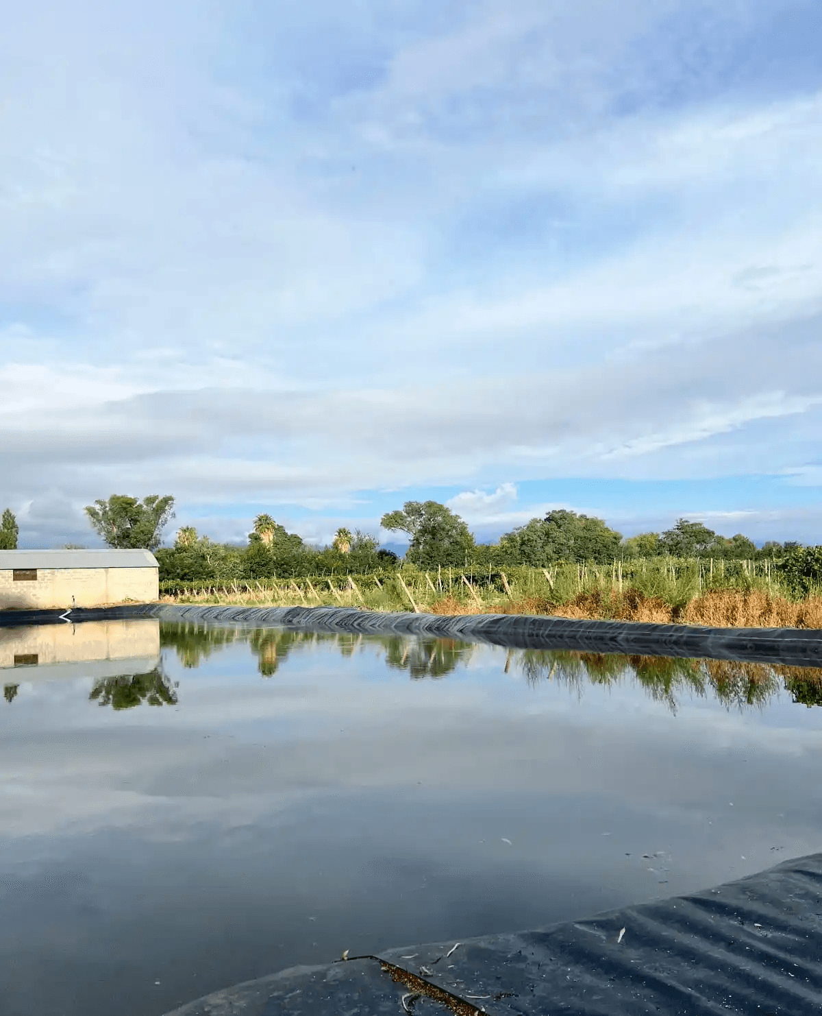 Gran reservorio de agua utilizado para el riego por goteo de la finca en San Juan.