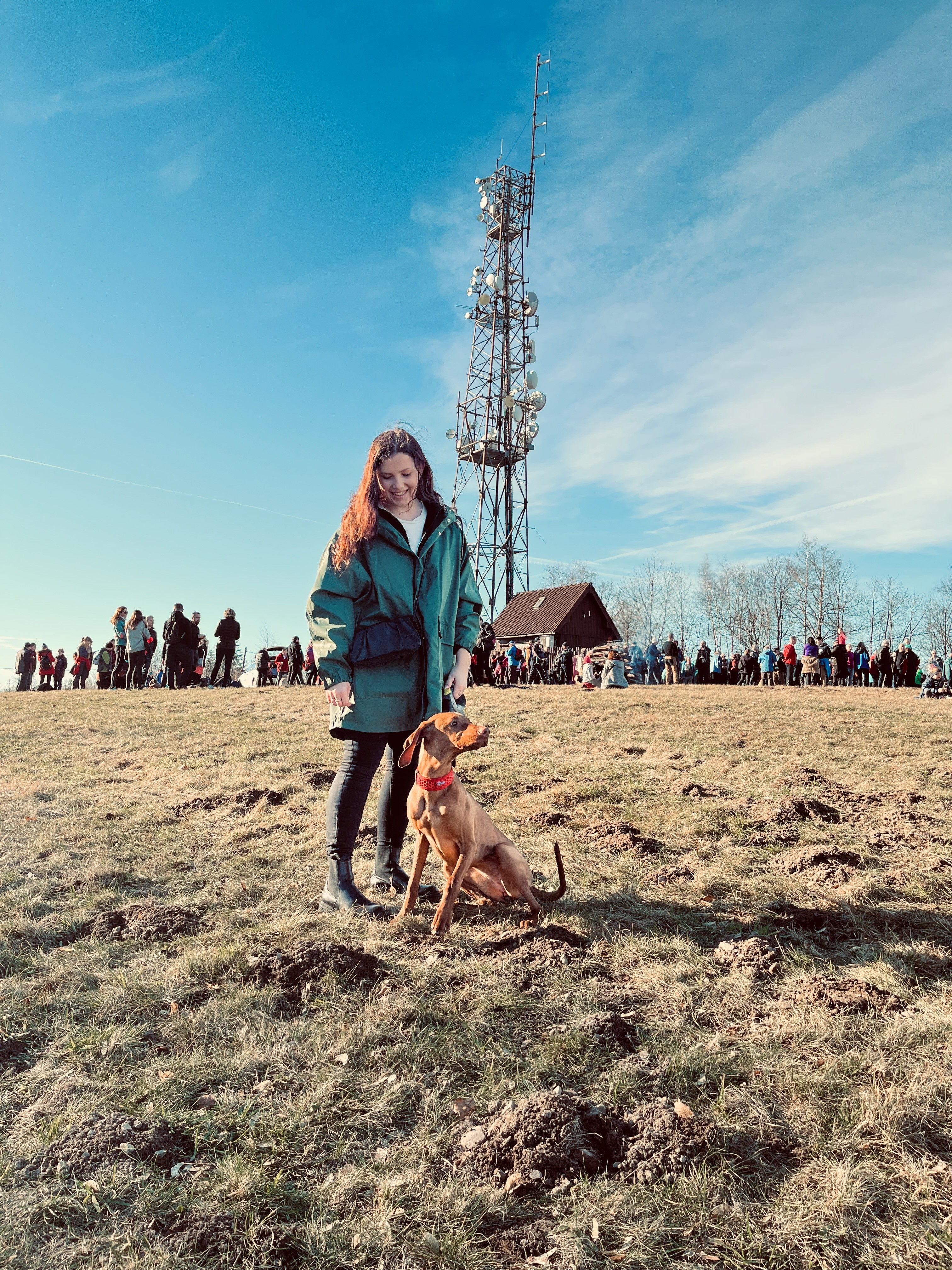 photo from unsplash as placeholder