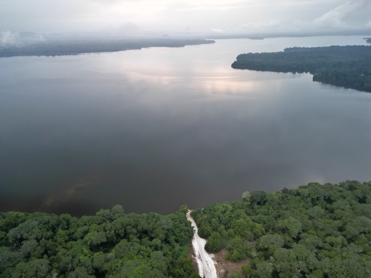 a close up of a leaf