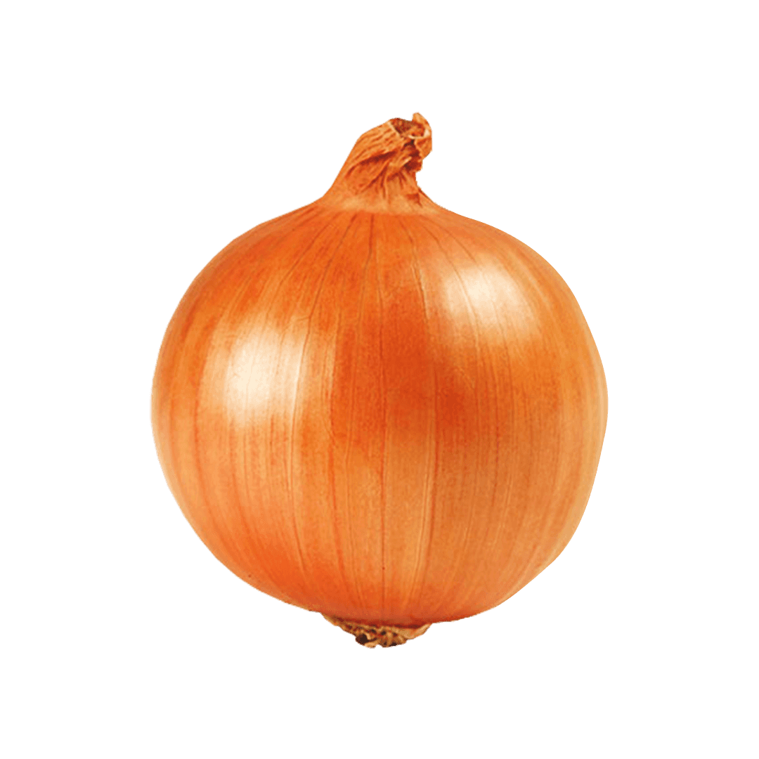 cebola-texas-early-grano