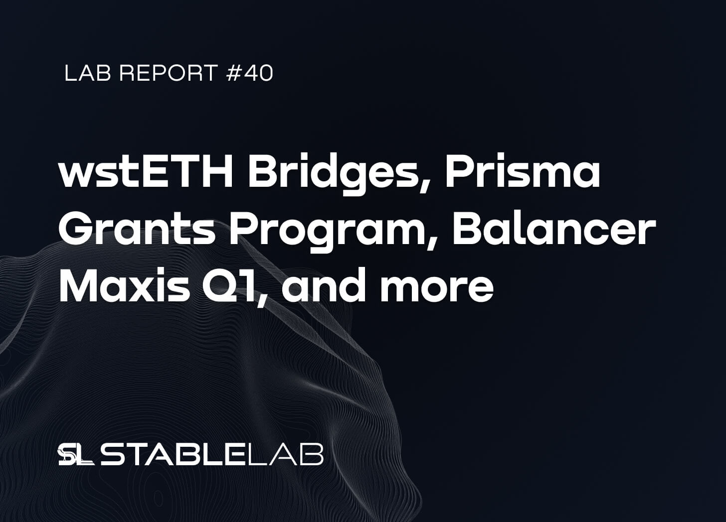 StableLab newsletter 8